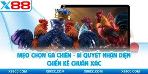 Mẹo Chọn Gà Chiến - Bí Quyết Nhận Diện Chiến Kê Chuẩn Xác